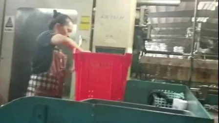 Supermarket Plastic Rolling Shopping Basket with Wheels